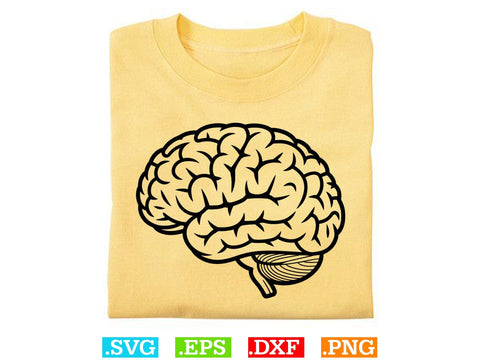 Organs Svg Bundle, Organ Silhouette, Organs Cut Files, Organs Laser Cut SVG Creativeart88 