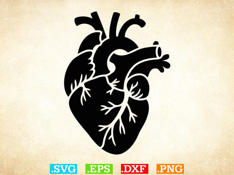 Organs Svg Bundle, Organ Silhouette, Organs Cut Files, Organs Laser Cut SVG Creativeart88 