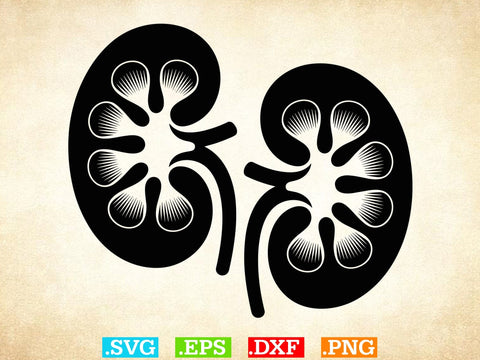 Organs Svg Bundle, Organ Silhouette, Organs Cut Files, Organs Laser Cut SVG Creativeart88 