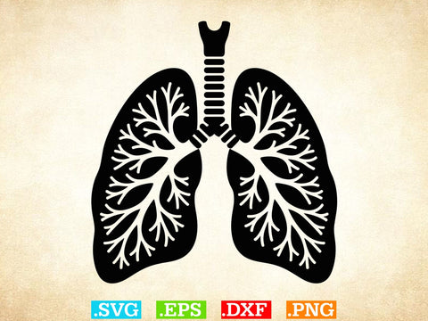 Organs Svg Bundle, Organ Silhouette, Organs Cut Files, Organs Laser Cut SVG Creativeart88 