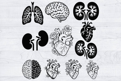 Organs Svg Bundle, Organ Silhouette, Organs Cut Files, Organs Laser Cut SVG Creativeart88 