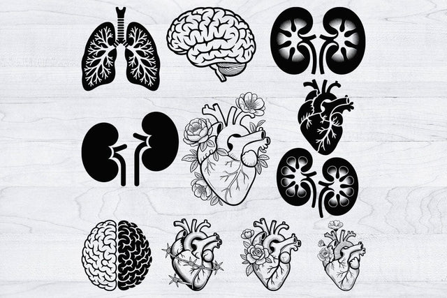 Organs Svg Bundle, Organ Silhouette, Organs Cut Files, Organs Laser Cut SVG Creativeart88 