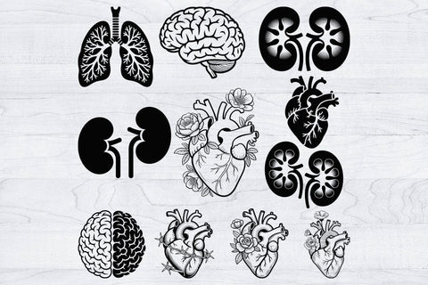 Organs Svg Bundle, Organ Silhouette, Organs Cut Files, Organs Laser Cut SVG Creativeart88 