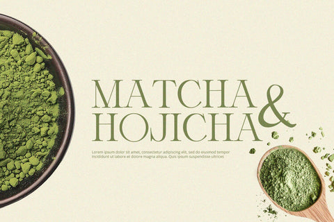 Orlington - Serif Font Font Alpaprana Studio 