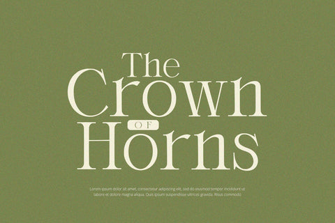 Orlington - Serif Font Font Alpaprana Studio 