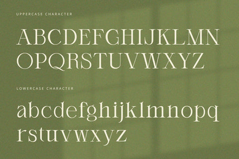 Orlington - Serif Font Font Alpaprana Studio 