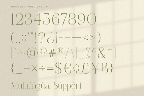 Orlington - Serif Font Font Alpaprana Studio 