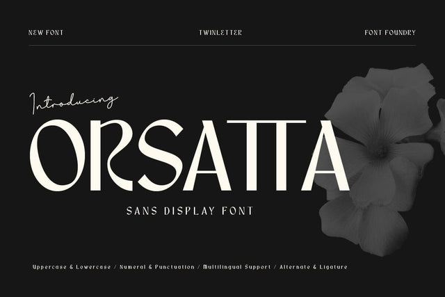 Orsatta - Display Font Font twinletter 