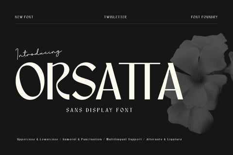 Orsatta - Display Font Font twinletter 