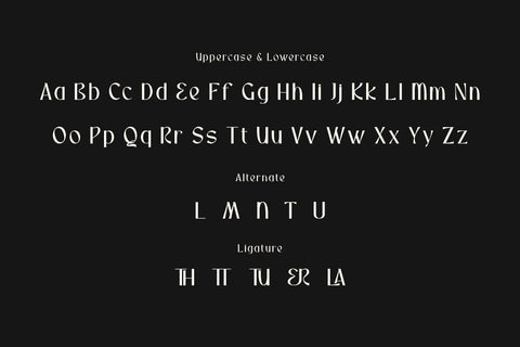 Orsatta - Display Font Font twinletter 