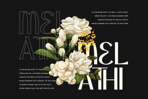 Orsatta - Display Font Font twinletter 