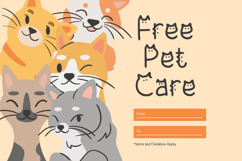 Other Cattie Font Aisyah 