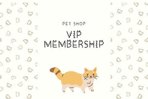 Other Cattie Font Aisyah 