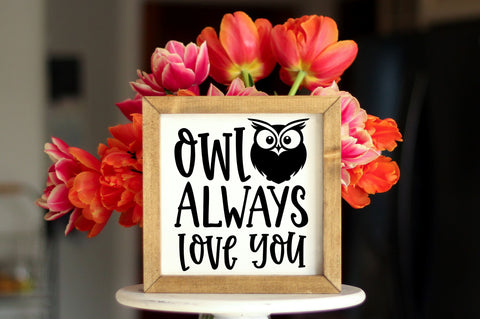 Owl always love you SVG design SVG Regulrcrative 