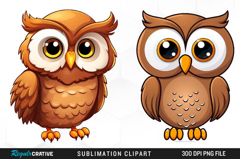 Owl Clipart Bundle Sublimation Regulrcrative 