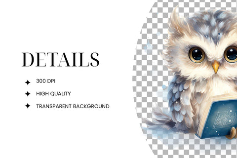 Owl Winter Reading Clipart PNG Sublimation BijouBay 