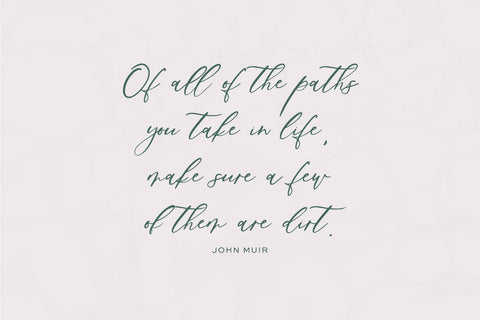 Palm Desert Modern Calligraphy Font Font Beck McCormick 