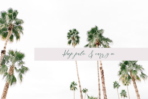 Palm Desert Modern Calligraphy Font Font Beck McCormick 