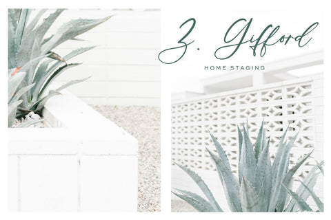 Palm Desert Modern Calligraphy Font Font Beck McCormick 