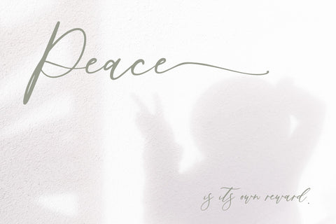 Palm Desert Modern Calligraphy Font Font Beck McCormick 