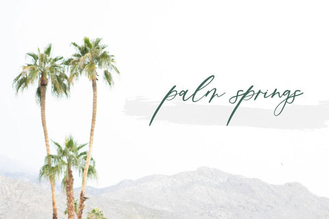 Palm Desert Modern Calligraphy Font Font Beck McCormick 