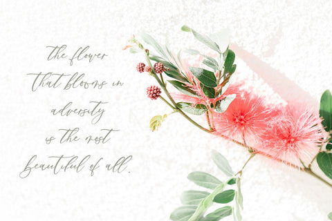 Palm Desert Modern Calligraphy Font Font Beck McCormick 