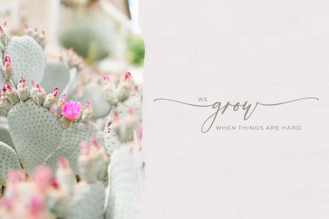 Palm Desert Modern Calligraphy Font Font Beck McCormick 