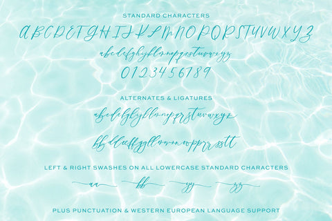 Palm Desert Modern Calligraphy Font Font Beck McCormick 