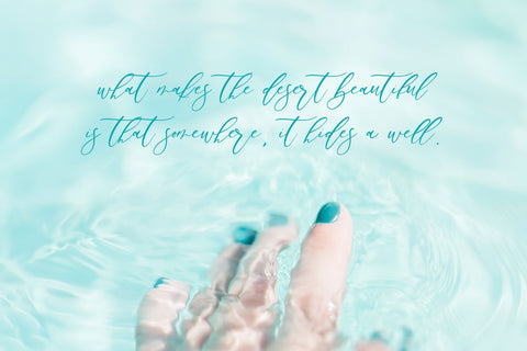 Palm Desert Modern Calligraphy Font Font Beck McCormick 
