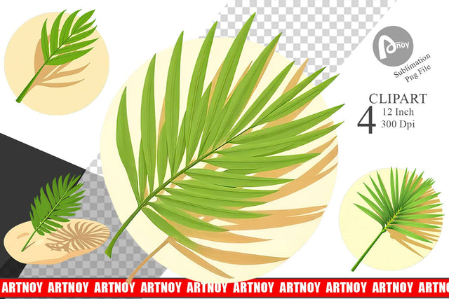 Palm Leaf Clipart Sublimation artnoy 