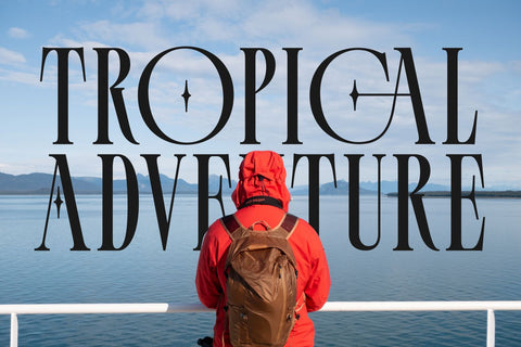 Palmer Florida Font Zeenesia Std 