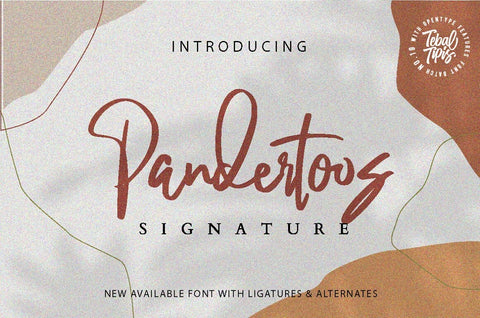 Pandertoos Signature Typeface Font Fadeline Std. 