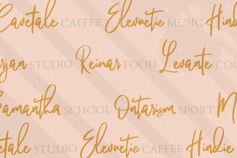 Pandertoos Signature Typeface Font Fadeline Std. 
