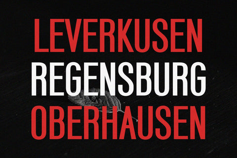 Panther - Modern Sans Serif Font Font studioalmeera 