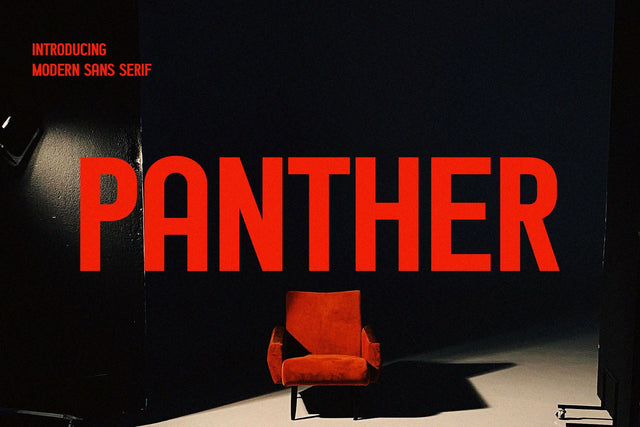 Panther - Modern Sans Serif Font Font studioalmeera 