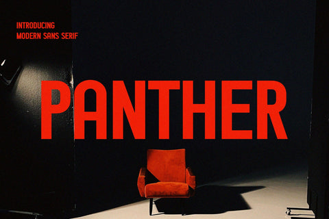 Panther - Modern Sans Serif Font Font studioalmeera 
