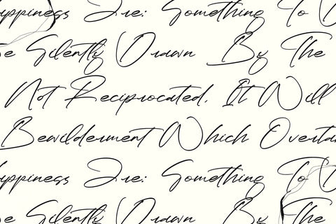 Paradise Stonelife - Modern Signature Script Font Letterena Studios 