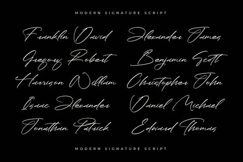 Paradise Stonelife - Modern Signature Script Font Letterena Studios 