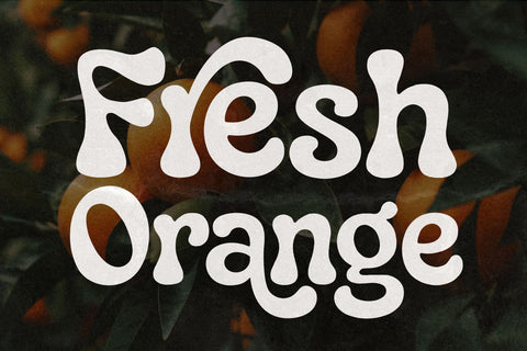Paradisea – Elegant Vintage Serif Font with Alternates & Ligatures Font Mozzatype 