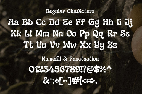 Paradisea – Elegant Vintage Serif Font with Alternates & Ligatures Font Mozzatype 