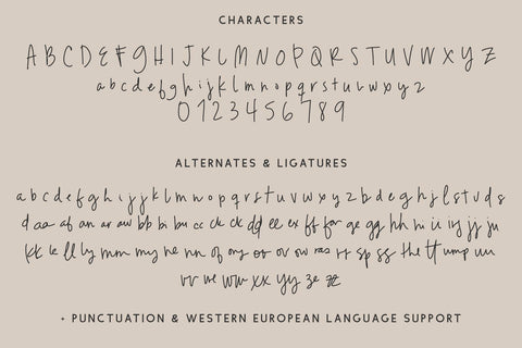 Parallaxes Script Font Beck McCormick 