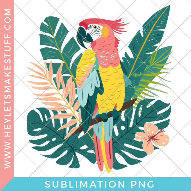 Parrot - Sublimation Sublimation Hey Let's Make Stuff 