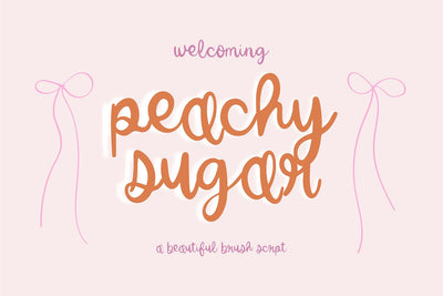 Peachy Sugar Brush Script Font Font Blush Font Co. 