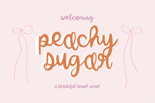 Peachy Sugar Brush Script Font Font Blush Font Co. 