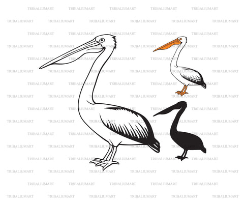 Pelican Bird SVG TribaliumArtSF 