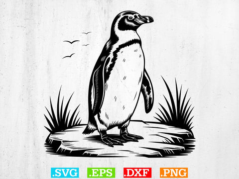 Penguin SVG Bundle, Penguin Clipart, Penguin Files for Cricut SVG Creativeart88 