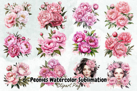 Peonies Watercolor Sublimation Clipart Bundle Sublimation Designangry 