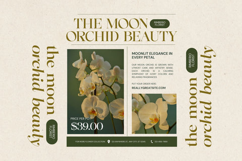 Perfectly Stylish Font Zeenesia Std 