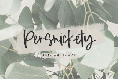 Persnickety Script Font Beck McCormick 