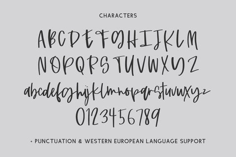 Persnickety Script Font Beck McCormick 